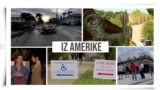 Iz Amerike 222 | Uragan i dezinformacije; Arizona; Izborni stres; Upoznavanje bez interneta 