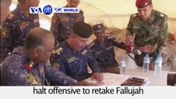 VOA60 World PM - Iraqi army halts offensive to retake Fallujah after encountering heavy resistance from Islamic State