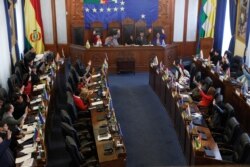 Senators approve a bill on holding new elections in La Paz, Bolivia, Nov. 23, 2019.