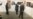 Former President Carter Highlights Success in Guinea Worm Eradication