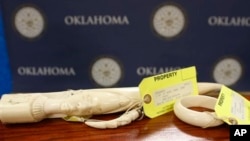 Pieces of carved ivory are on display at the state Capitol in Oklahoma City, following a news conference Tuesday, Feb. 10, 2015, held by Democratic state Rep. Mike Shelton, who is sponsoring a bill which he says bill is designed to help curb illegal poaching of wildlife in Africa. (AP Photo/Sue Ogrocki)