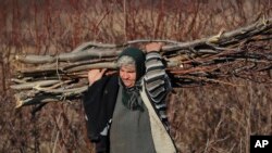 A woman carries tree branches for fire in Tancabesti, Romania, Dec. 8, 2016. Romanians will vote in parliamentary elections on Dec. 11, a year after a massive anti-corruption drive forced its last prime minister, Victor Ponta, from power, media moguls were imprisoned and one of the leaders of the second biggest party quit over a graft probe. 