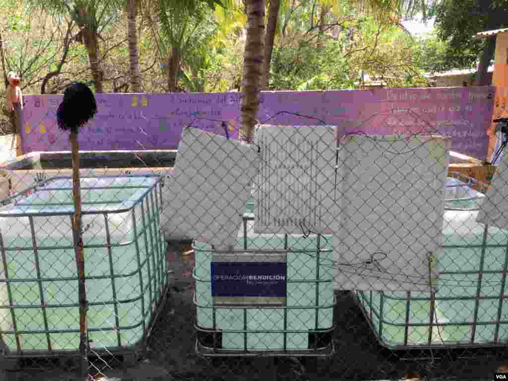 El Salvador usa tilapias para controlar o zika