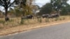 FILE - Elephants roam in Hwange National Park, Zimbabwe's biggest animal sanctuary, June 2019. (Columbus Mavhunga/VOA)