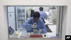 A graduate student analyzes samples to identify the Zika virus in a laboratory at the Fiocruz institute in Rio de Janeiro, Brazil, Jan. 22, 2016.