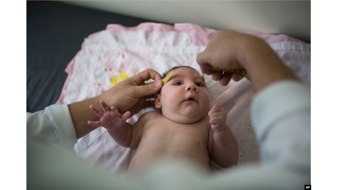 FILE - In this Dec. 22, 2015 photo, a baby named Luiza has her head measured by a neurologist in Caruaru, Brazil. Luiza, a Zika victim, was born in October with a head that was just 11.4 inches (29 centimeters) in diameter, below the range defined as healthy.