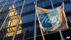 FILE - A Pfizer flag is displayed in front of world headquarters in New York, Nov. 23, 2015.