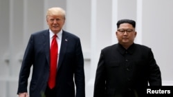 美国总统特朗普和朝鲜领导人金正恩在新加坡举行美朝峰会期间并肩行走。（2018年6月12日）