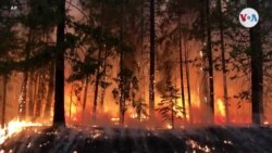 Expansión de incendios forestales en California obliga evacuación de miles de personas