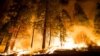 California Wildfire Threatens Forest Homes