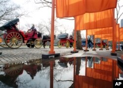 FILE - Horse drawn carriages and "The Gates" are shown in Central Park Tuesday, Feb. 15, 2005, in New York. (AP Photo/Mark Lennihan)