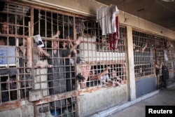 FILE - Inmates are seen behind bars in Aleppo's main prison, May 22, 2014.