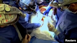 Residente de Maryland foi a primeira pessoa no mundo a receber um transplante de coração de porco