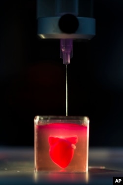 A 3D printer prints a heart with human tissue during a presentation at the University of Tel Aviv, in Tel Aviv, Israel, Monday, April 15, 2019. (AP Photo/Oded Balilty)
