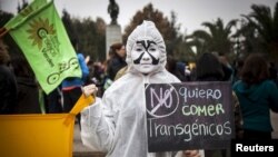 Protesta en Santiago, Chile contra la compañía estadounidense Monsanto, la más grande productora de semillas genéticamente modificadas.