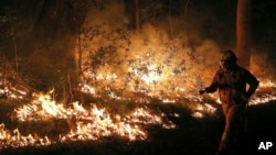 Các đám cháy rừng đã thiêu rụi hàng trăm nhà cửa và gây nhiều thiệt hại ở Úc, tháng 10/2013