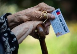 Alicia Martinez holds her vaccination card while resting after her second shot of China's Sinovac COVID-19 vaccine in the outdoor patio of a home for the elderly in Santiago, Chile, March 5, 2021.
