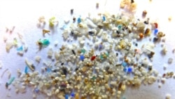 Quiz Draft - Biodegradable Microbeads Could Help Earth's Oceans