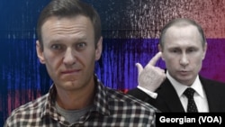 Alexei Navalny / Vladimir Putin (File)