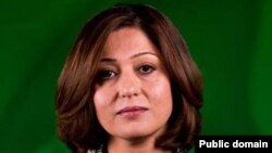 گه‌شه‌ دارا حه‌فید