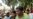 Maoist Rebels Release Indian Lawmaker