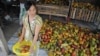 A cocoa farmer and some of her crop in southern Vietnam. (V. Marou)