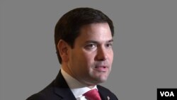 Archivo_ El senador cubanoamericano Marco Rubio.
