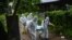 Volunteers wearing personal protective equipment (PPE) prepare to transport the body of a victim of the Covid-19 coronavirus to a cemetery in Hlegu Township in Yangon on July 10, 2021. (Photo by Ye Aung THU / AFP)