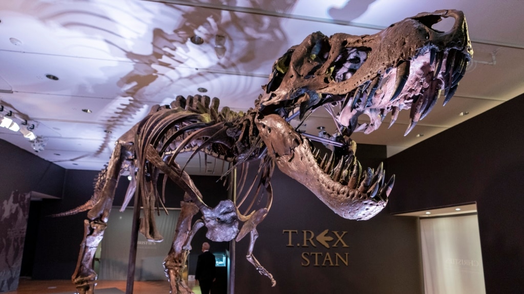 Might Not Want to Kiss One, But Scientists Say T. Rex Dinosaur Had Lips