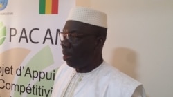 Sene Yiriwali Mali Kono