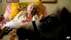 FILE - Elli Salma, a resident of an elderly care home, looks up as Ivi, a miniature horse used for therapy programs, visits her room, in Athens, Greece, on Nov. 22, 2024.