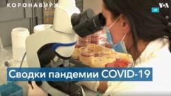 COVID-19 в мире: 256 миллионов заболевших с начала пандемии