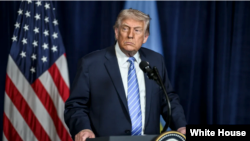  د امریکا ولسمشر ډونالډ ټرمپ