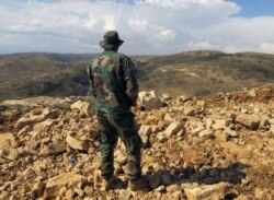 FILE - A Hezbollah fighter looks toward Syria while standing in the fields of the Lebanese border village of Brital.