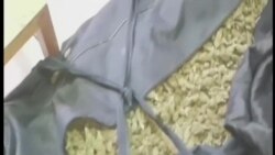 Sasi te reja marijuane ne jug të Shqipërisë