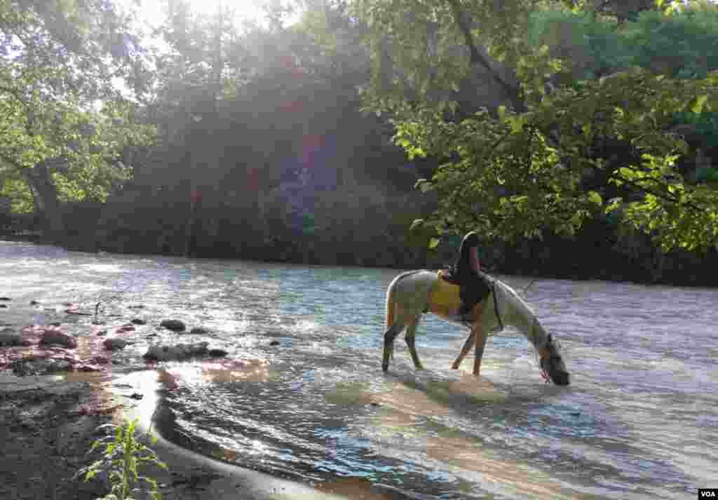 اسب سواری در چالوس عکس: آرش محمدی (ارسالی از شما)