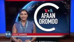 Tamsaasa Guyaadhaa Guyyaa