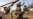Know Your Enemy: Russian War Games Expected to Yield Valuable Insight for Western Watchers