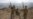 What's Hiding Behind Russia's Calls for Peace in Nagorno-Karabakh