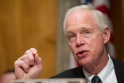 Ron Johnson, R-Wisc. speaks to a witness during a migration hearing in Washington, April 4, 2019.