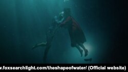 The Shape of Water