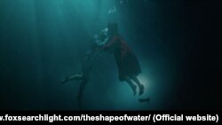 The Shape of Water