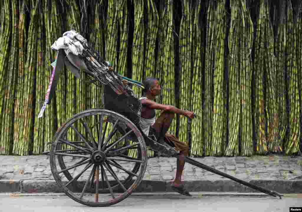A hand-rickshaw puller waits for customers at a roadside wholesale sugarcane market in Kolkata. India&#39;s sugar output is expected to be 25 million tonnes in the season starting from October, up from a previous forecast of 23.7 million tonnes.