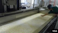 Sister Maria Gonzalo-Garcia checks the curds during the cheese-making process