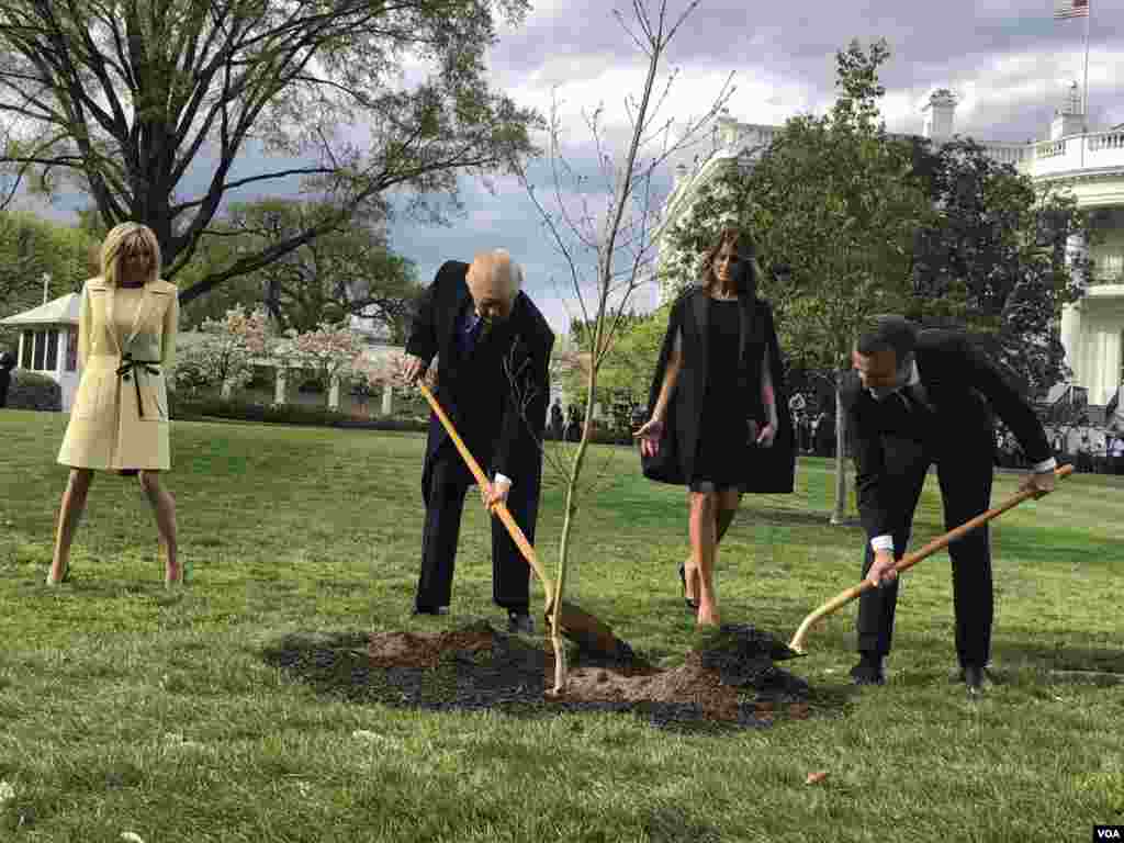 Les présidents Donald Trump, son épouse Melania, et Emmanuel Macron et son épouse Brigitte, plantent un arbre à la Maison Blanche au début de la première visite officielle du leader français à Washington, le 23 avril 2018. (VOA/Steven Herman)