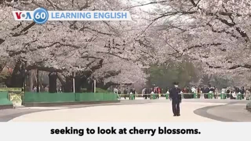 VOA60: March 27, 2020