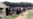 Mliswa, Guzah in Tight Battle for Zimbabwe's Hurungwe West Seat