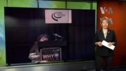 Kajl Dribek - najmlađi "teslijanac"