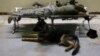 US Army Says Mishandled War Dogs, Will Comply With Call for Reform