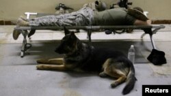 FILE - A U.S. soldier from the Second Stryker Cavalry Regiment tries to sleep next to a dog at the Diyala media center in Diyala province, Aug. 6, 2008.